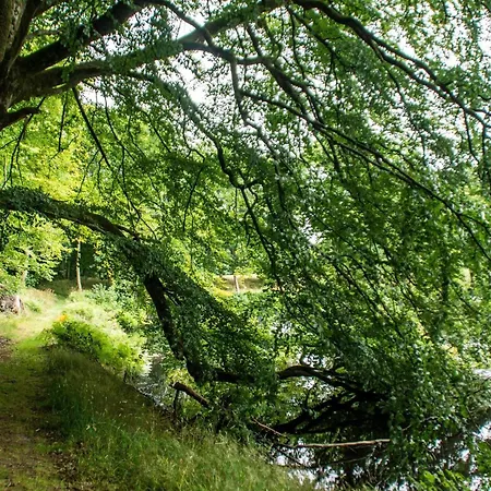 6 Person In Oster Assels-by Traum بيت للعطل *