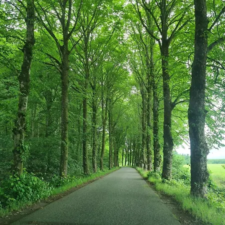 6 Person In Oster Assels-by Traum *