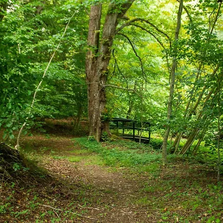 بيت للعطل 6 Person In Oster Assels-by Traum Sillerslev