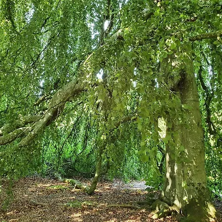 بيت للعطل 6 Person In Oster Assels-by Traum *