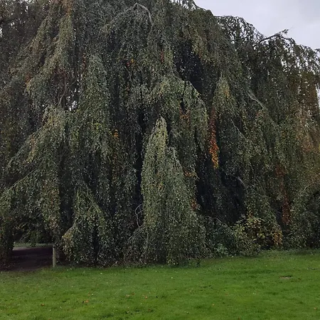 بيت للعطل 6 Person In Oster Assels-by Traum